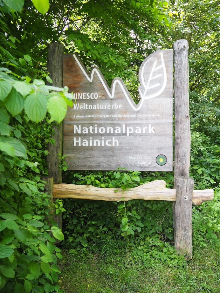 Willkommen im Nationalpark Hainich, unweit der geografischen Mitte des Landes. 