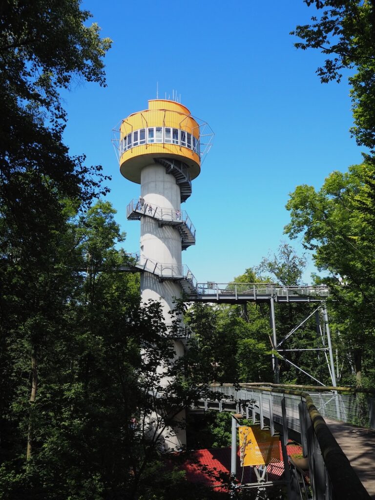 ... und klettern auf diesem Turm selbst in luftige Baumkronenhöhen ... 